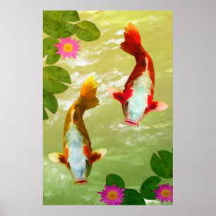 Koi Carp Fish Poster