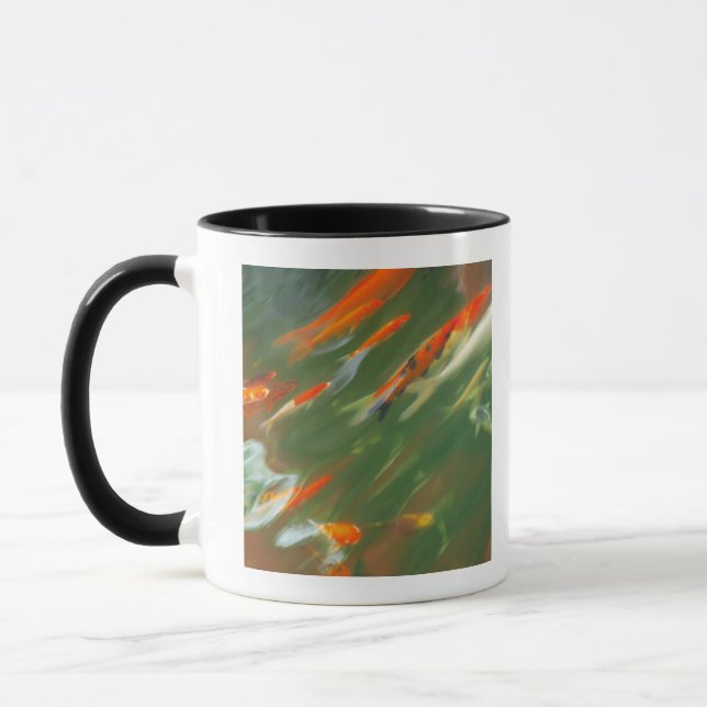 Koi carp fish swimming in a pond mug (Left)