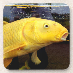 Koi Carp Hard Plastic Coaster