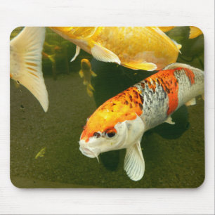 Koi Carp Mouse Mat
