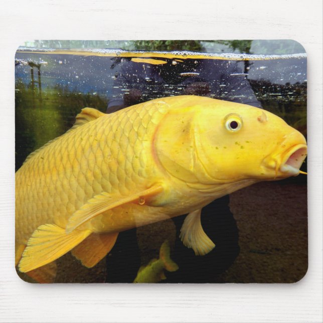 Koi Carp Mouse Mat (Front)
