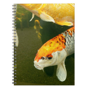 Koi Carp Photo Notebook
