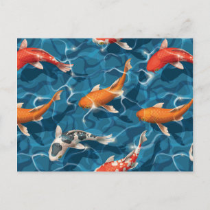 Koi Carp postcard