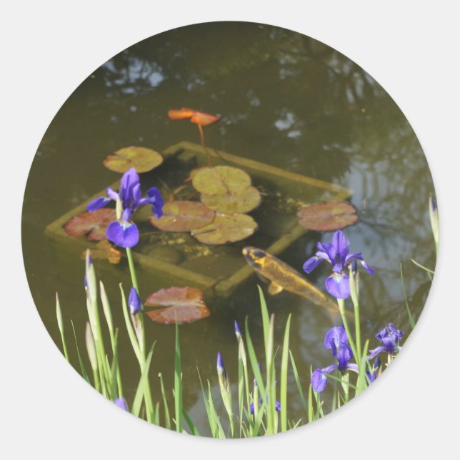 Koi Fish #4 Stickers (Front)