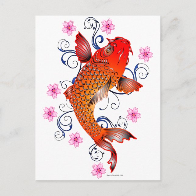 Koi Fish Carp Eastern Blossom Postcard (Front)