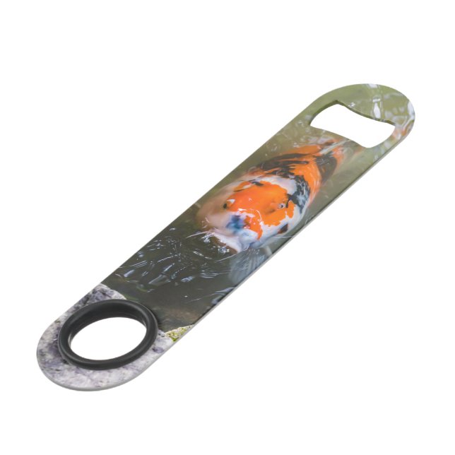 Koi fish in a pond (Front Angled)
