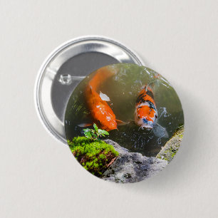 Koi fish in a pond 6 cm round badge