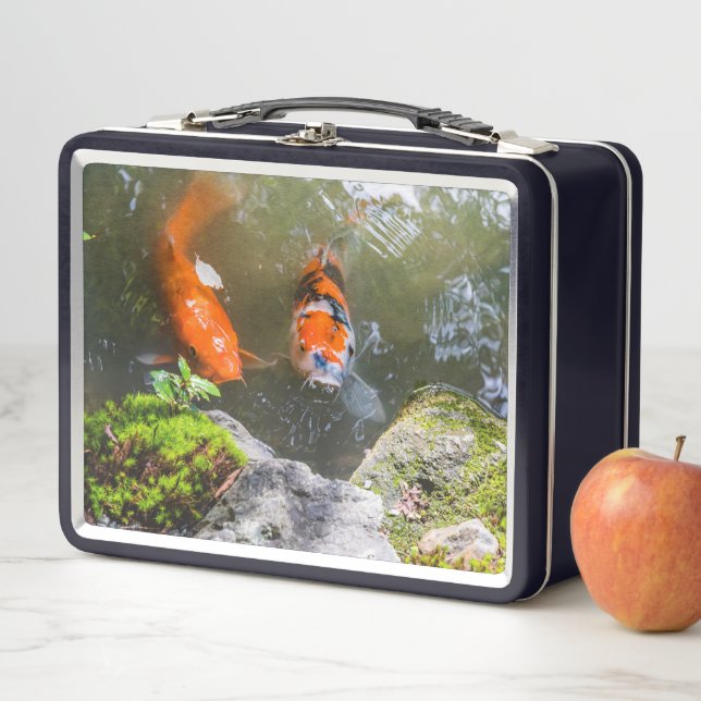 Koi fish in a pond metal lunch box (In Situ)