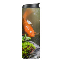 Koi fish in a pond