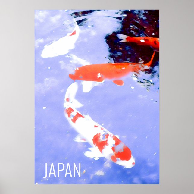 Koi fish in pond Japan travel print (Front)