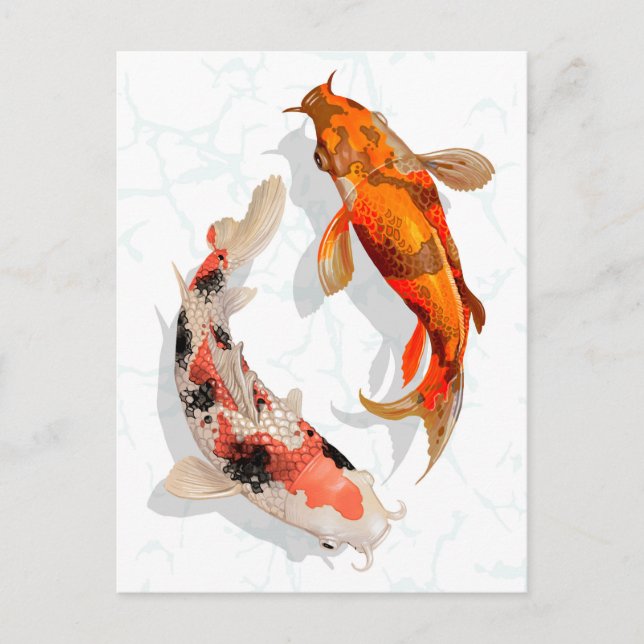 Koi Fish Postcard (Front)