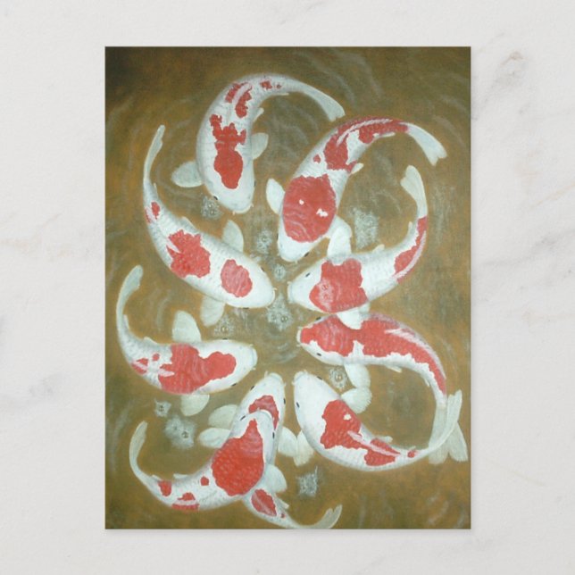 KOI FISH POSTCARD (Front)