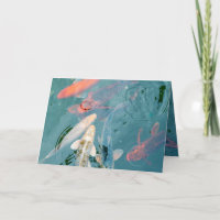 Koi Fish Swimming in Pond