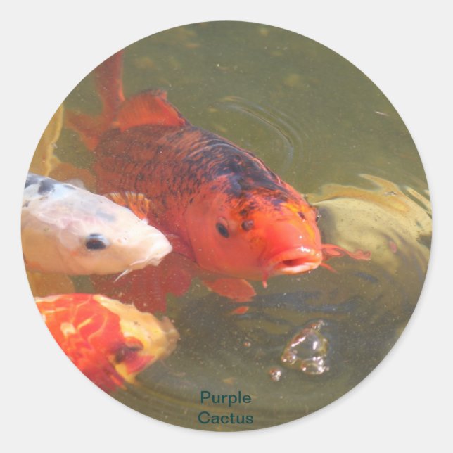 Koi Fish v.1 Classic Round Sticker (Front)