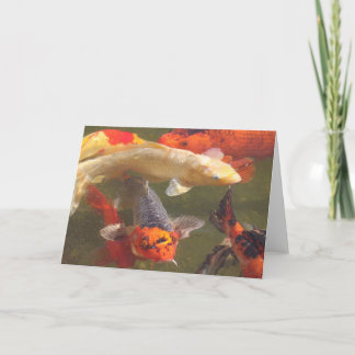 Koi fish v.2 card