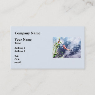 Koi in Swirling Water Business Card