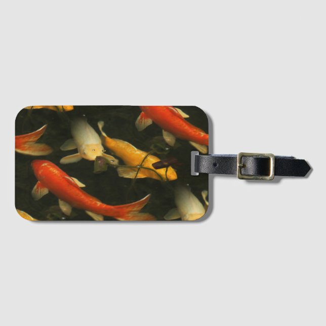 Koi Luggage Tag (Front Horizontal)