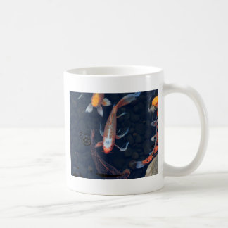 Koi Mug