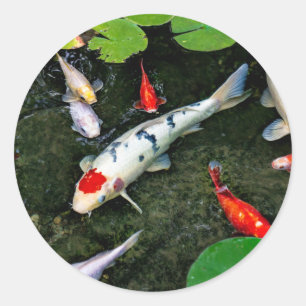 Koi Pond Classic Round Sticker