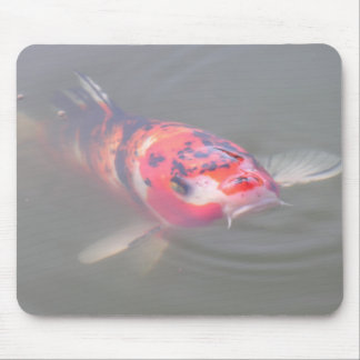 Koi Pond Mouse Pad