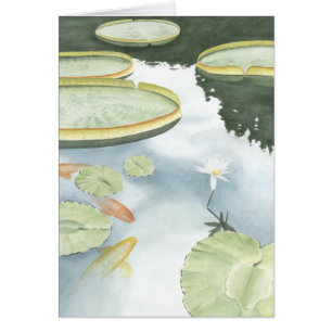 Koi Pond Reflection with Fish and Lilies
