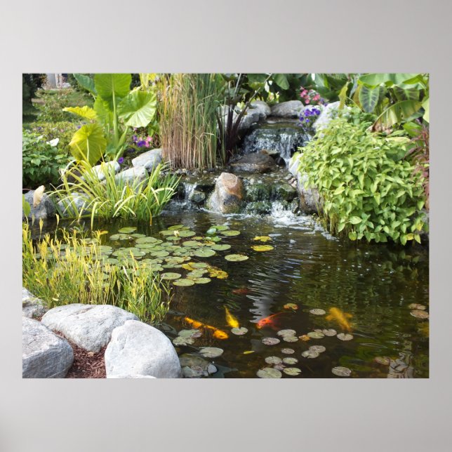 Koi Pond with Waterfall Poster (Front)