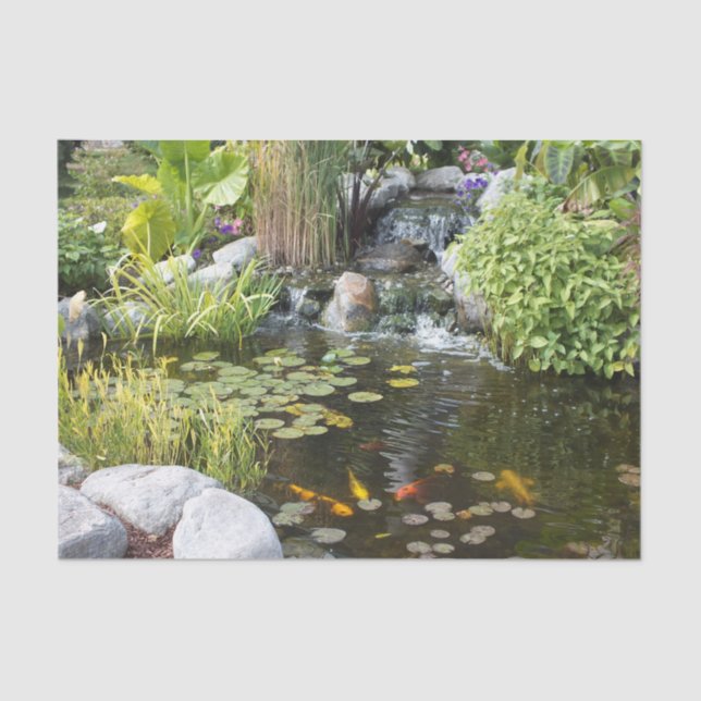 Koi Pond with Waterfall  Tissue Paper (Front)