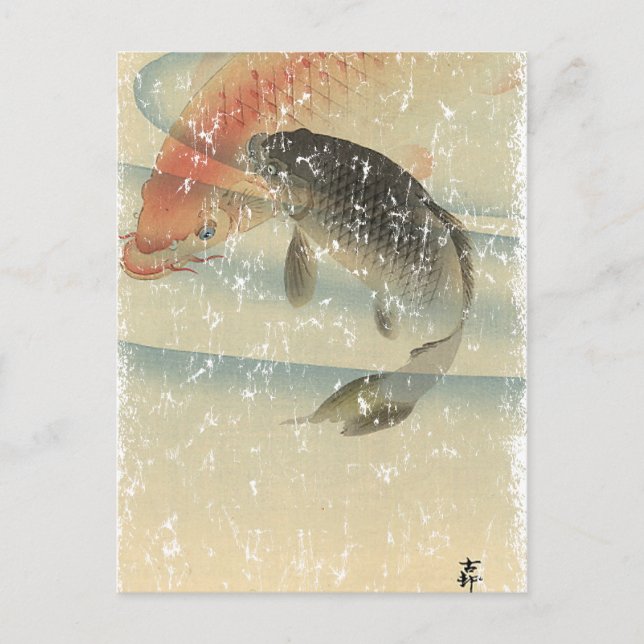 Koi Postcard (Front)