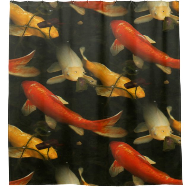 Koi Shower Curtain (Front)