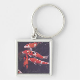 Koi swimming in pool key ring