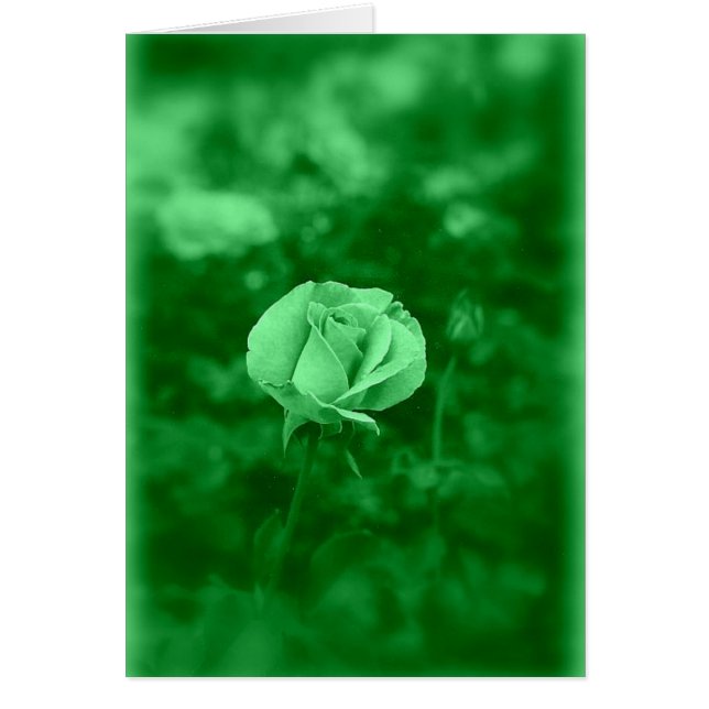 Koinonia   "Fellowship On The Path" (Front)