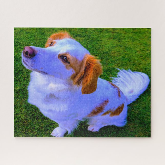 Kokoni Dog. Jigsaw Puzzle (Horizontal)