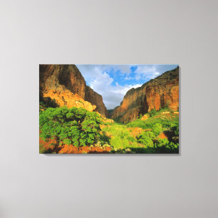 Kolob Canyon at Zion Canyon in Zion National Canvas Print