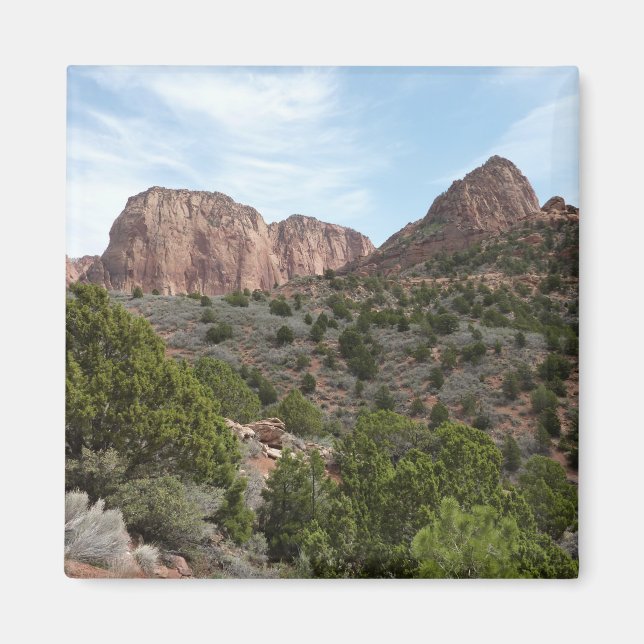 Kolob Canyons at Zion National Park Magnet (Front)