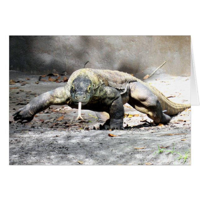 Komodo Dragon (0751) (Front Horizontal)