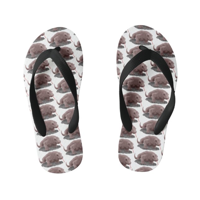 Komodo dragon illustration kid's jandals (Footbed)