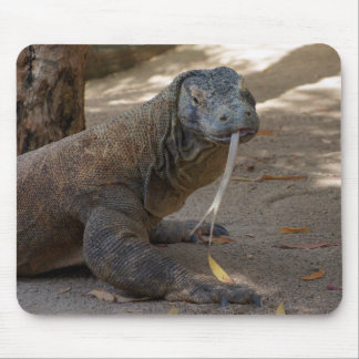 Komodo Dragon Licking Mouse Pad