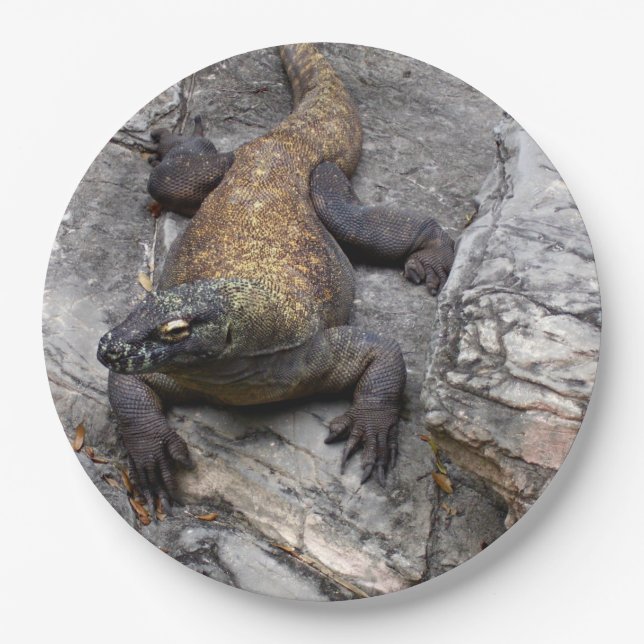 Komodo Dragon Nature Close-up Paper Plate (Front)