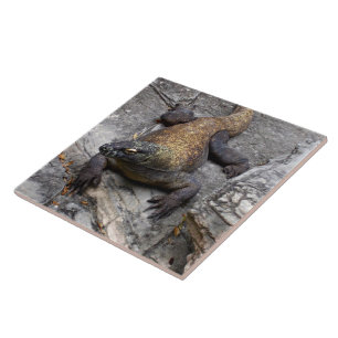 Komodo Dragon on Warm Rocks Tile
