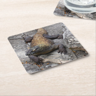 Komodo Dragon Stone Perch Square Paper Coaster