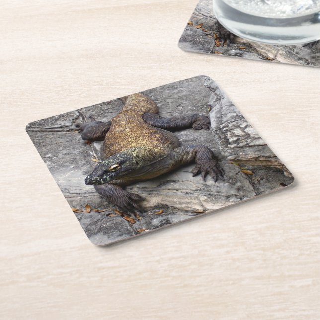 Komodo Dragon Stone Perch Square Paper Coaster (Angled)