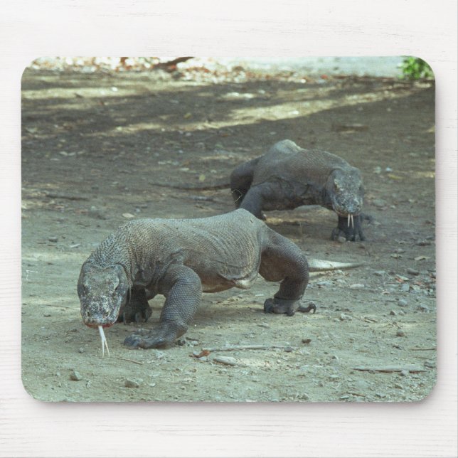 Komodo Dragons Mouse Pad (Front)