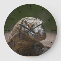 Komodo monitor dragon