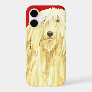 Komondor Colour Block