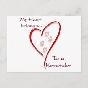Komondor Heart Belongs Postcard