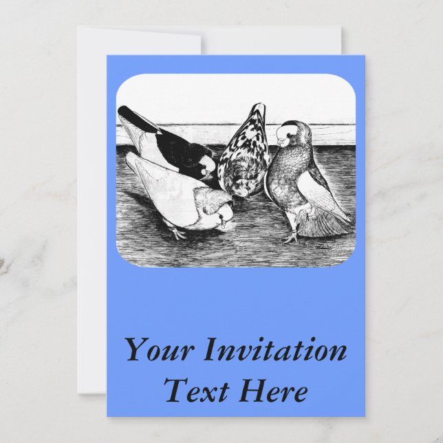 Komorner Tumbler Pigeon Quartet Invitation (Front)