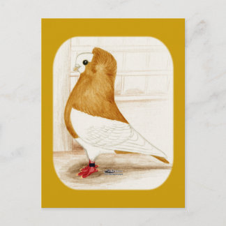 Komorner Yellow Mag Pigeon 1973 Postcard