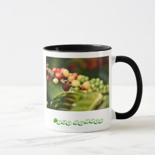 Kona coffee mug