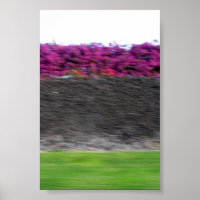 kona colours