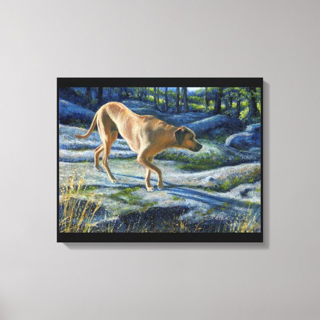 “Kona on the Granite Trail” Canvas Print (Front)